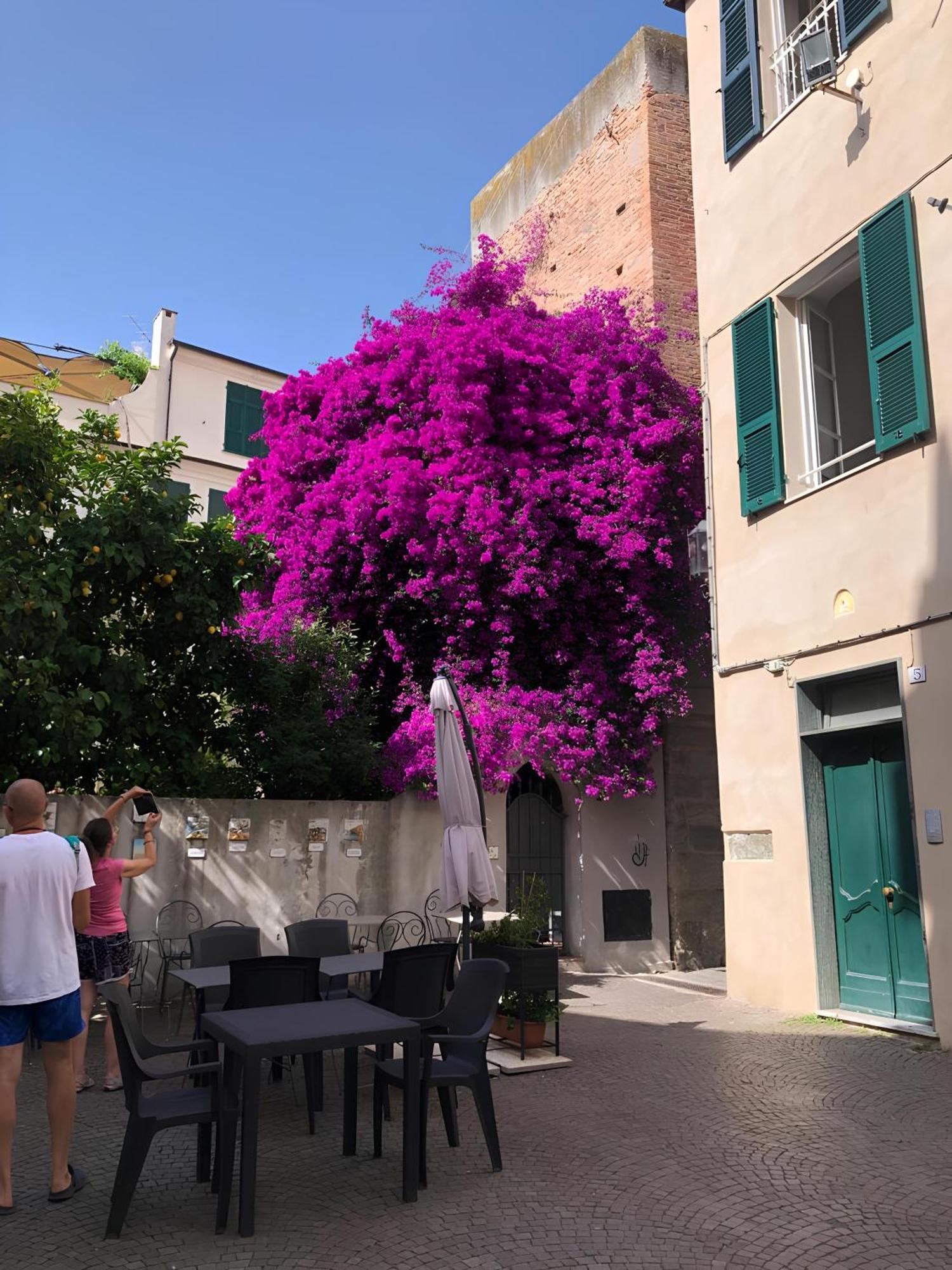 Wonderful Noli - Appartamento Noli Liguria Italia Εξωτερικό φωτογραφία